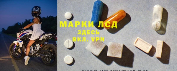 прущие грибы Верхнеуральск