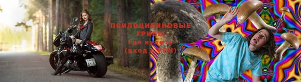 прущие грибы Верхнеуральск