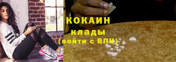 прущие грибы Верхнеуральск